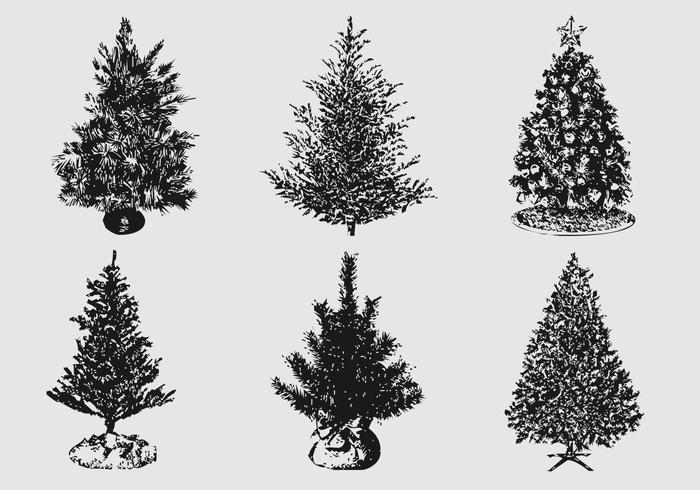 Detail Photoshop Pine Tree Brushes Nomer 27