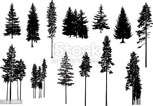 Detail Photoshop Pine Tree Brushes Nomer 32