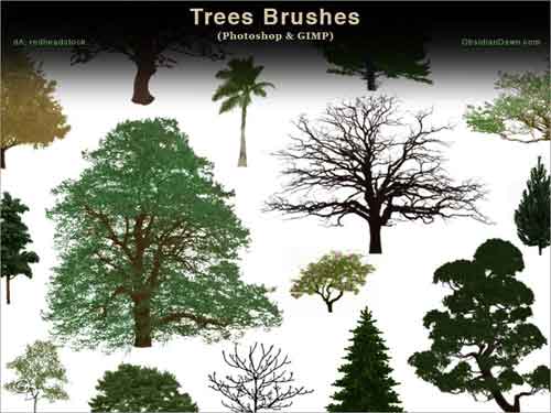 Detail Photoshop Pine Tree Brushes Nomer 38