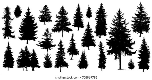 Detail Photoshop Pine Tree Brushes Nomer 48