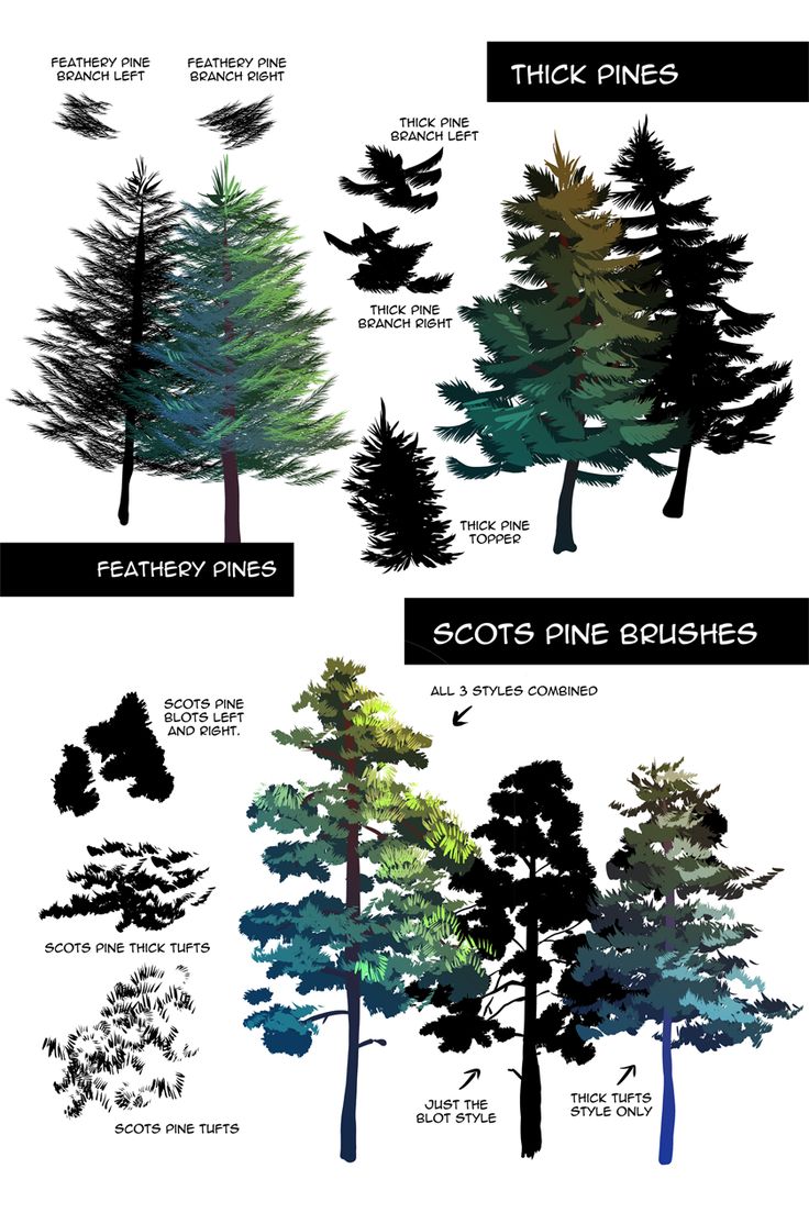 Detail Photoshop Pine Tree Brushes Nomer 49
