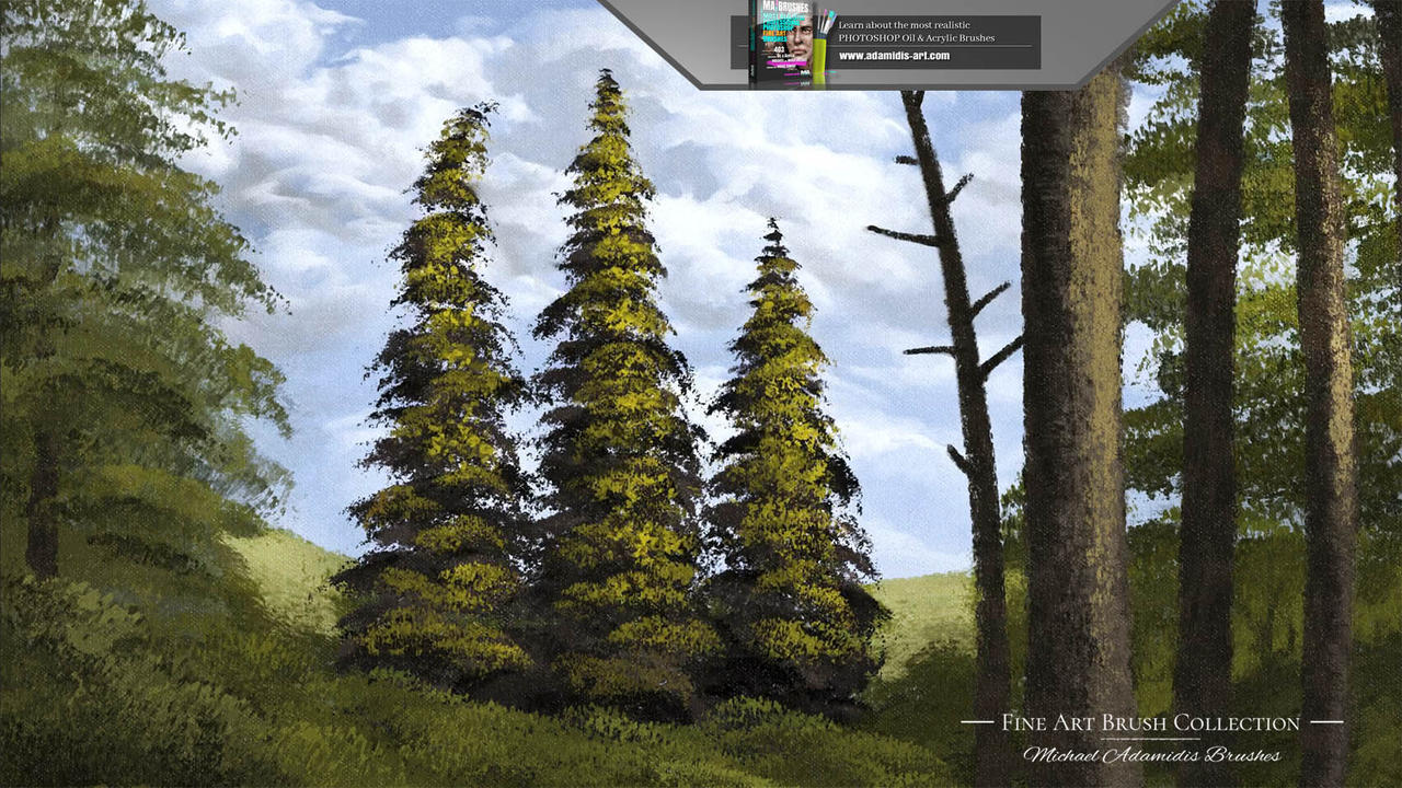 Detail Photoshop Pine Tree Brushes Nomer 52