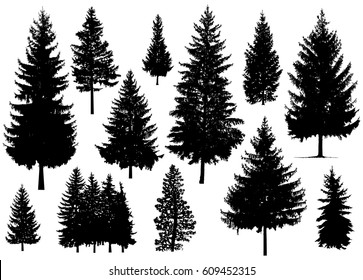 Detail Photoshop Pine Tree Brushes Nomer 53