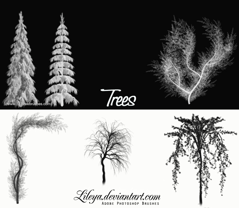 Detail Photoshop Pine Tree Brushes Nomer 8