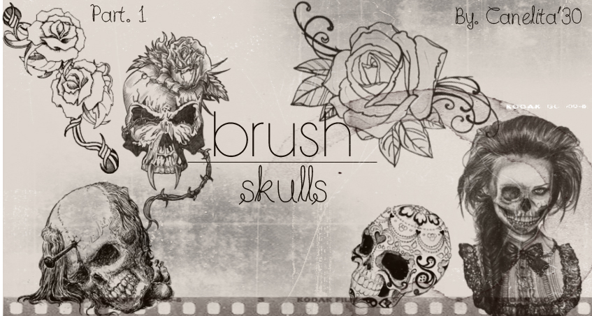 Detail Photoshop Skull Brushes Nomer 45