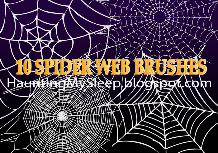 Photoshop Spider Web Brush - KibrisPDR