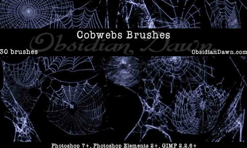 Detail Photoshop Spider Web Brush Nomer 11