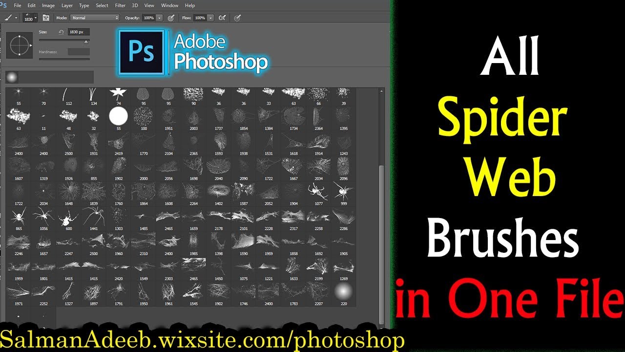 Detail Photoshop Spider Web Brush Nomer 21