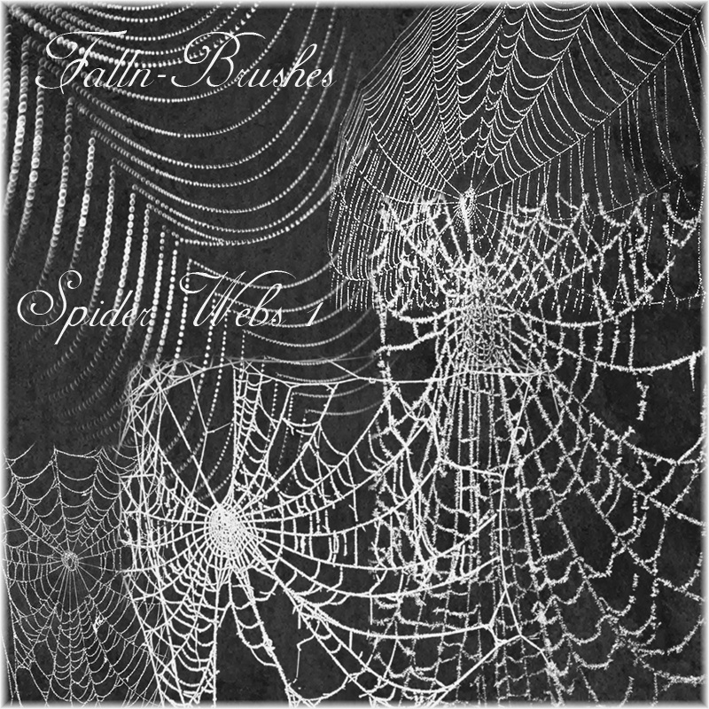 Detail Photoshop Spider Web Brush Nomer 4