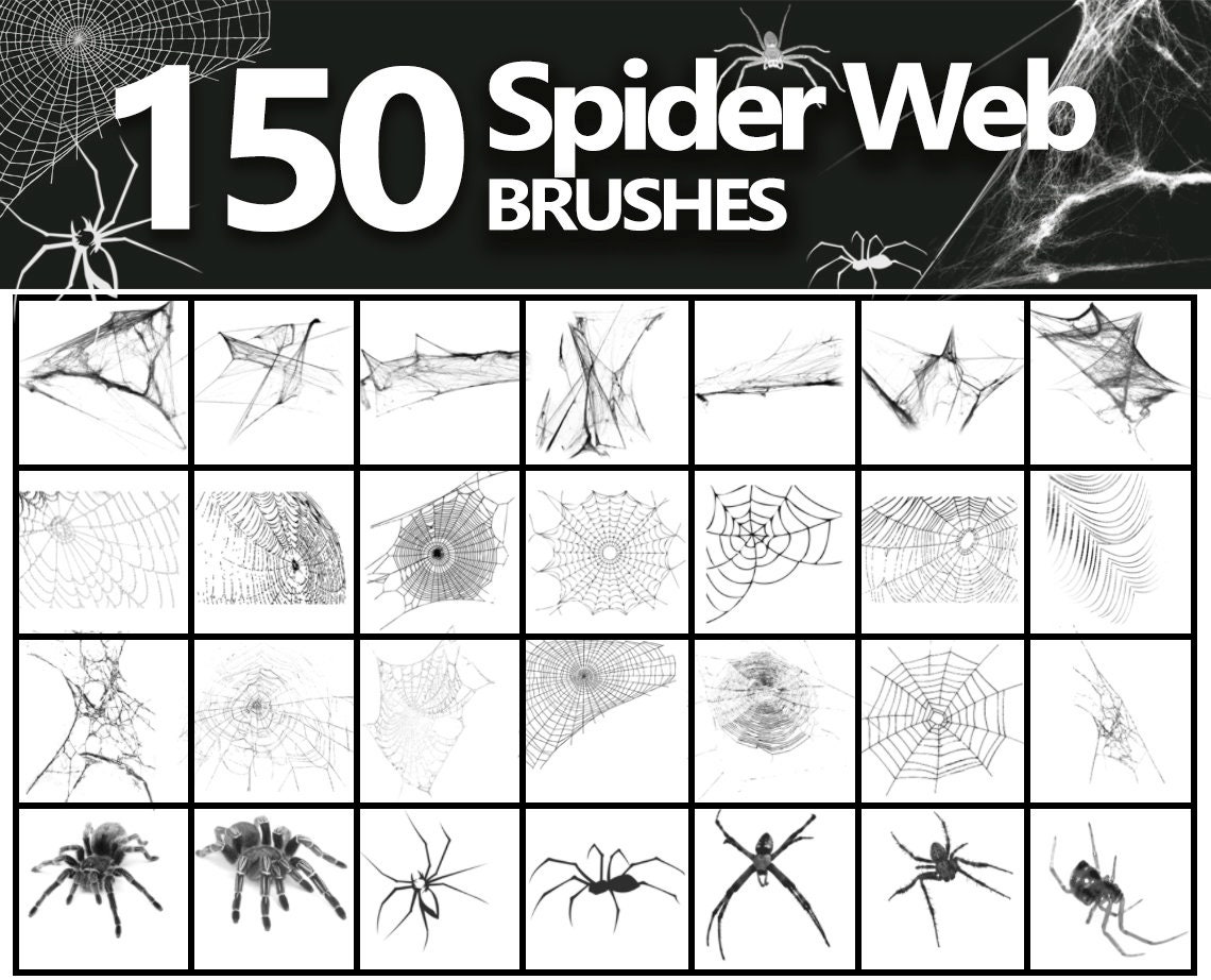 Detail Photoshop Spider Web Brush Nomer 6