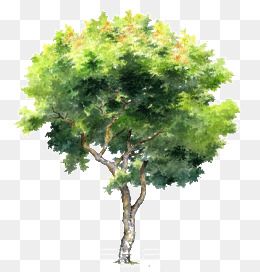 Detail Photoshop Tree Png Nomer 32