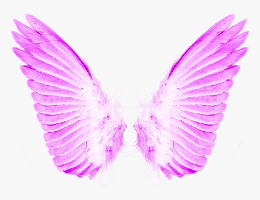 Detail Photoshop Wings Nomer 19