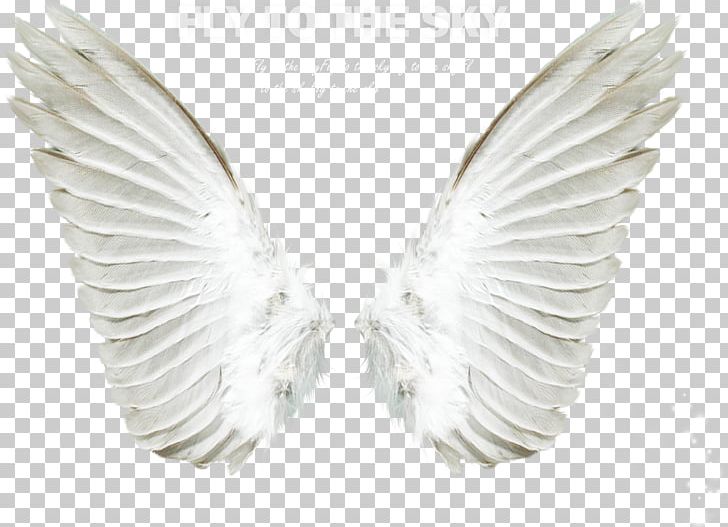 Detail Photoshop Wings Nomer 33