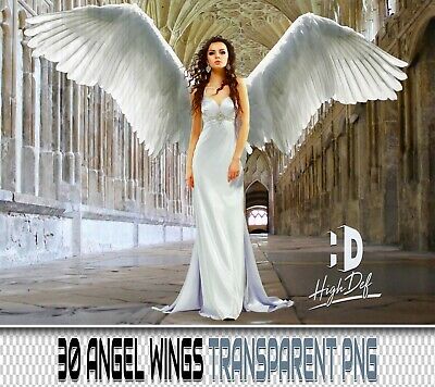 Detail Photoshop Wings Nomer 35