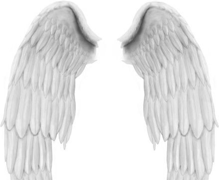 Detail Photoshop Wings Nomer 8