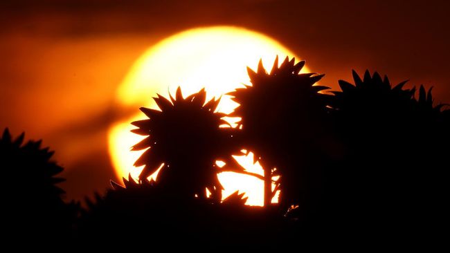 Download Matahari Terbit Dari Sebelah Barat Nomer 10