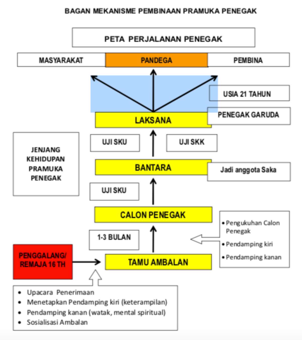 Detail Materi Pramuka Penegak Ppt Nomer 27