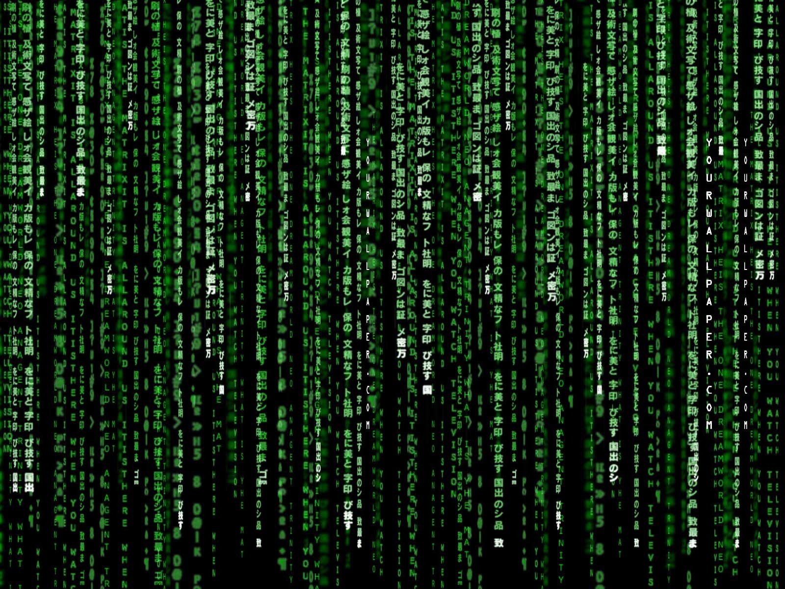 Detail Matrix Wallpaper Hd Nomer 27