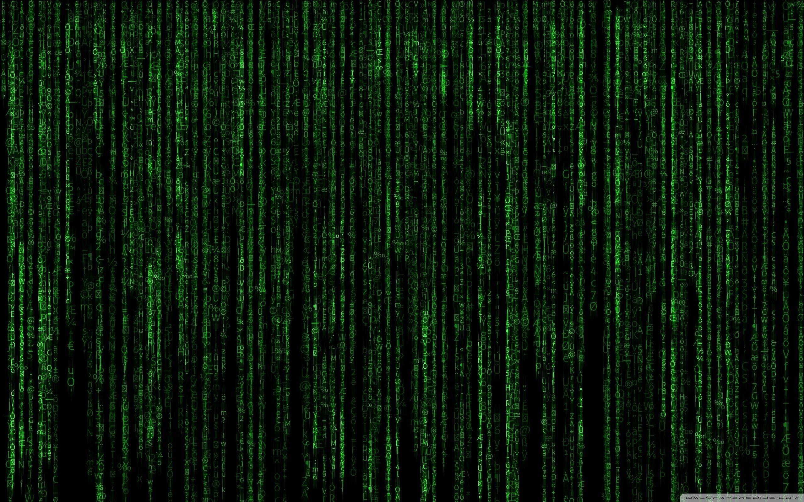 Detail Matrix Wallpaper Hd Nomer 8