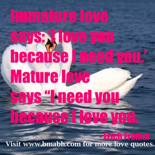 Detail Mature Love Quotes In Hindi Nomer 47