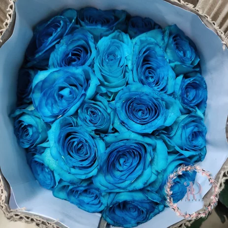 Detail Mawar Biru Muda Nomer 28