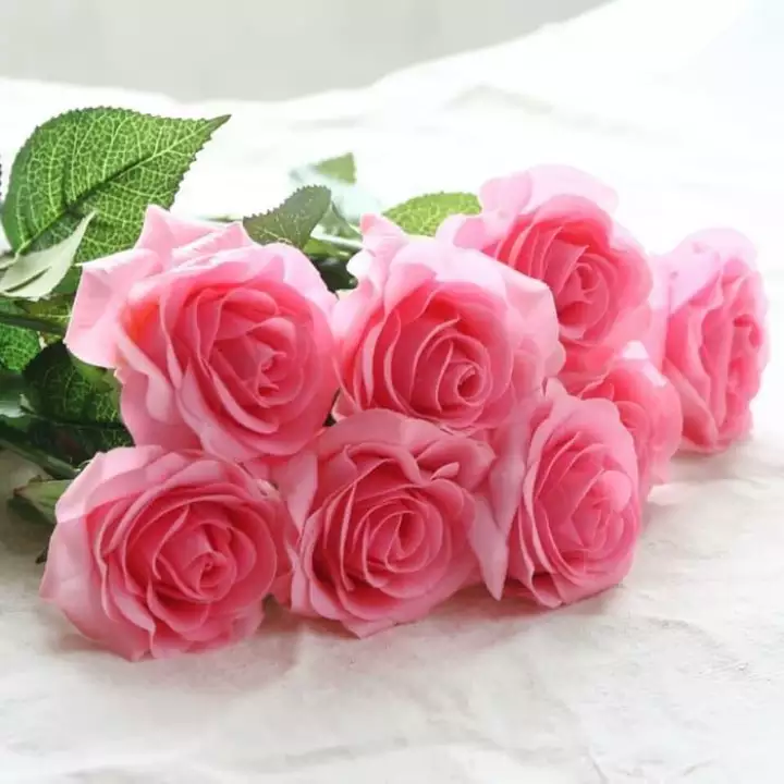 Detail Mawar Pink Muda Nomer 10