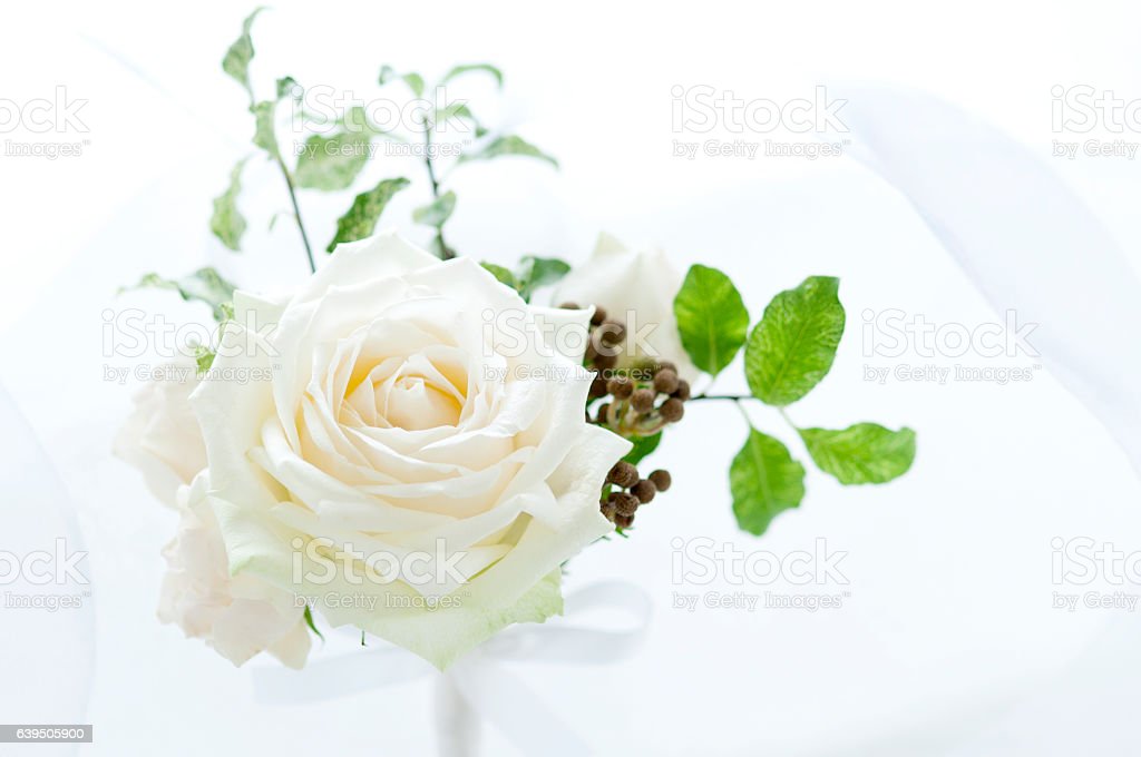 Detail Mawar Putih Bunga Nomer 35