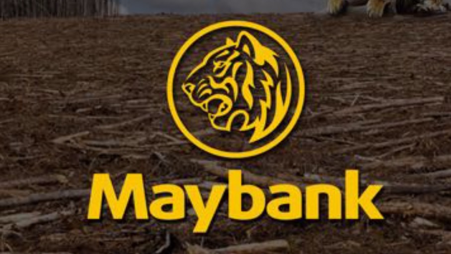 Detail Maybank Logo Png Nomer 36