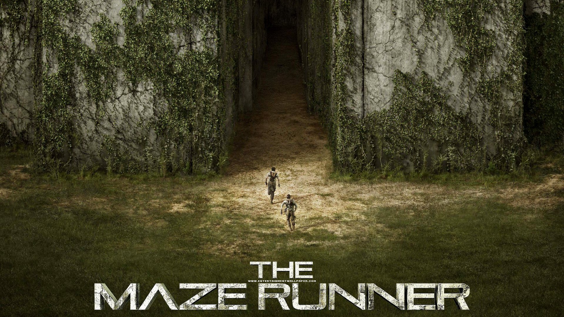 Detail Maze Runner Wallpaper Nomer 22