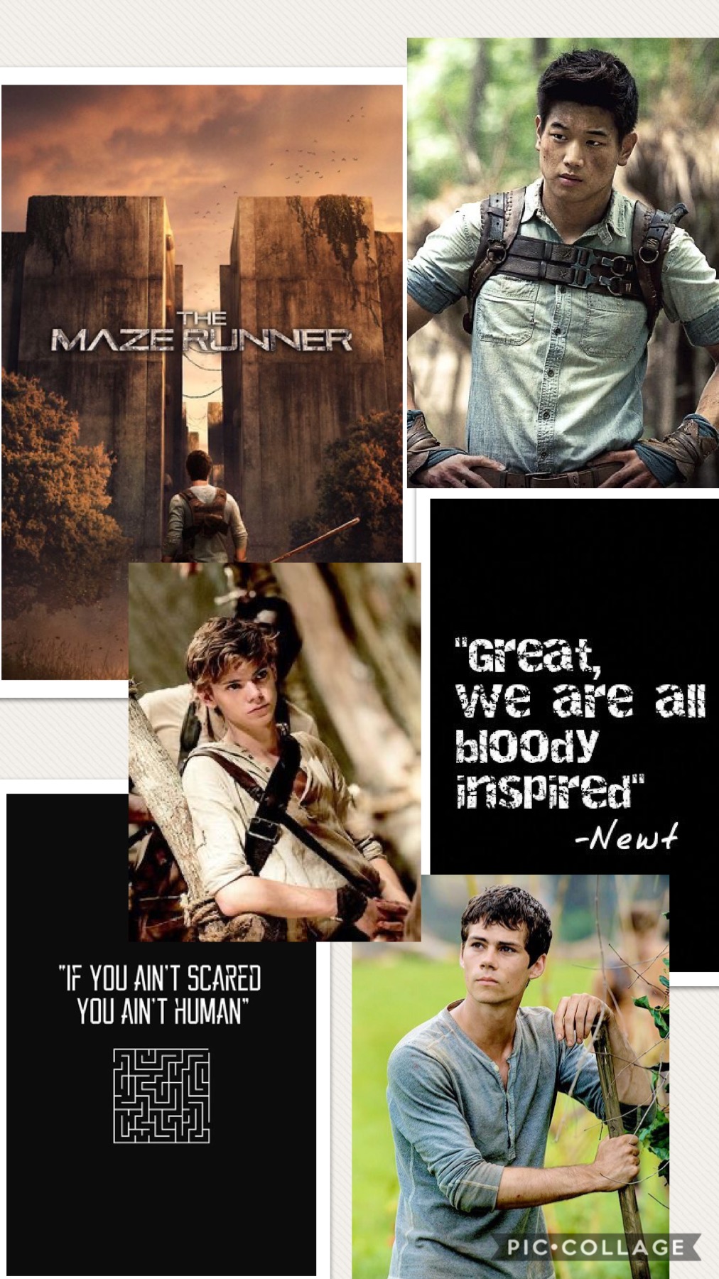 Detail Maze Runner Wallpaper Nomer 4