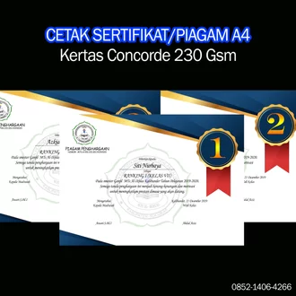 Detail Piagam Merpati Kolong Nomer 11