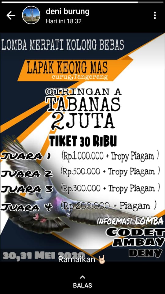 Detail Piagam Merpati Kolong Nomer 17