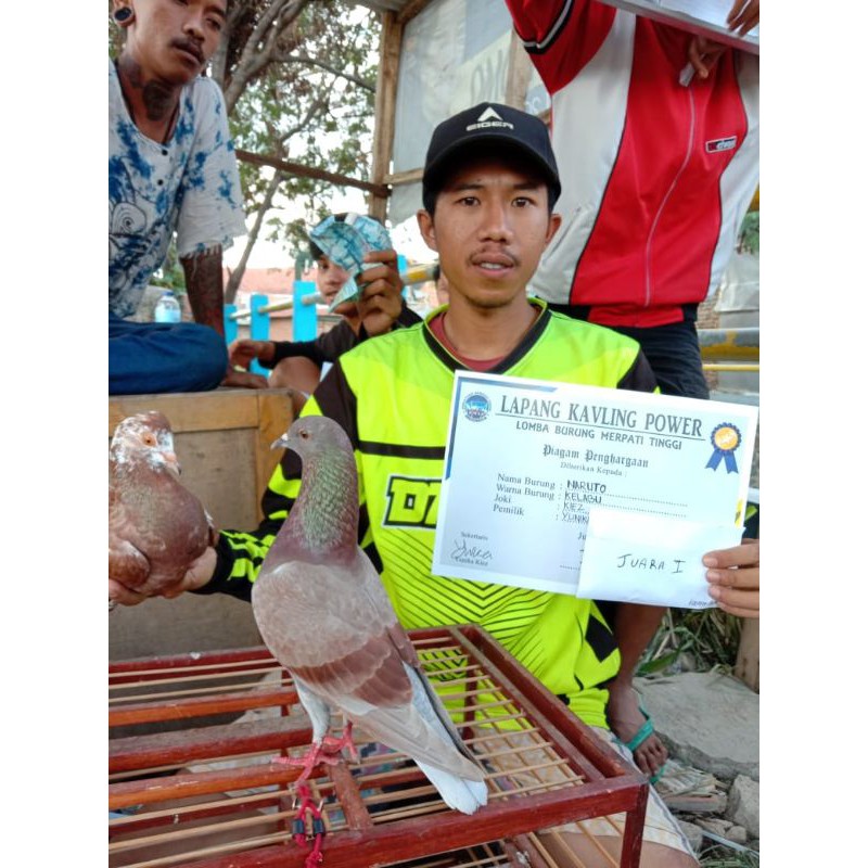 Detail Piagam Merpati Kolong Nomer 26