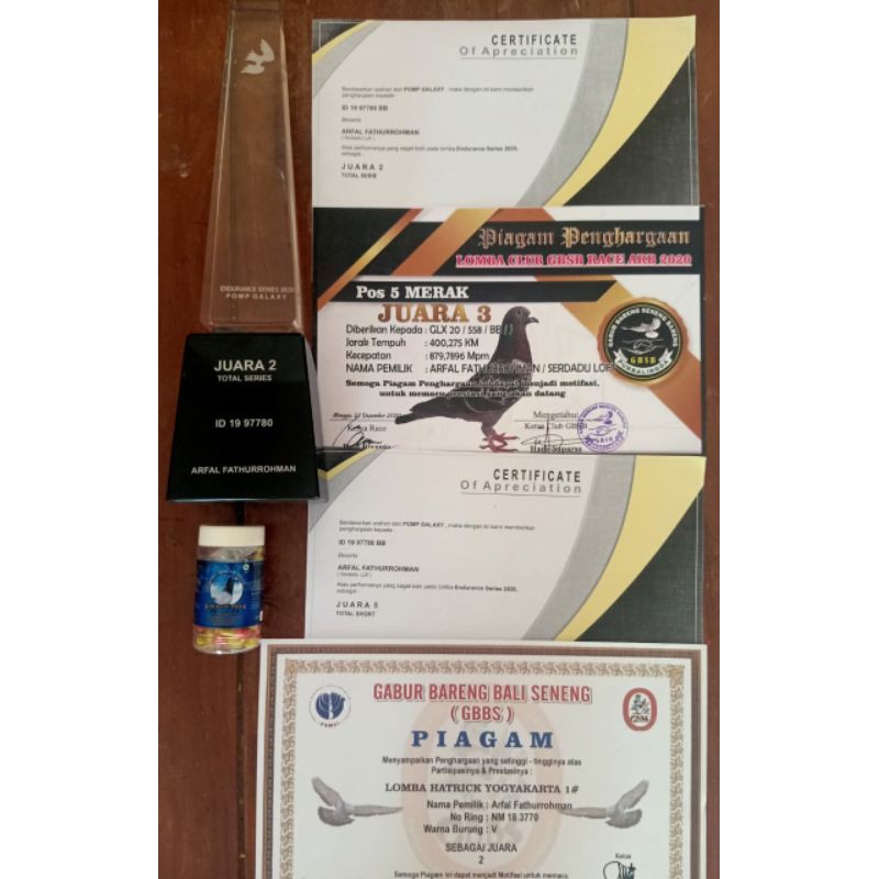Detail Piagam Merpati Kolong Nomer 27