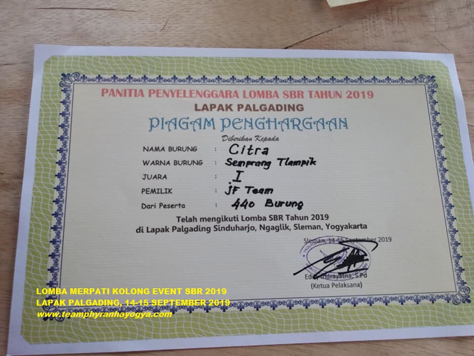 Detail Piagam Merpati Kolong Nomer 29