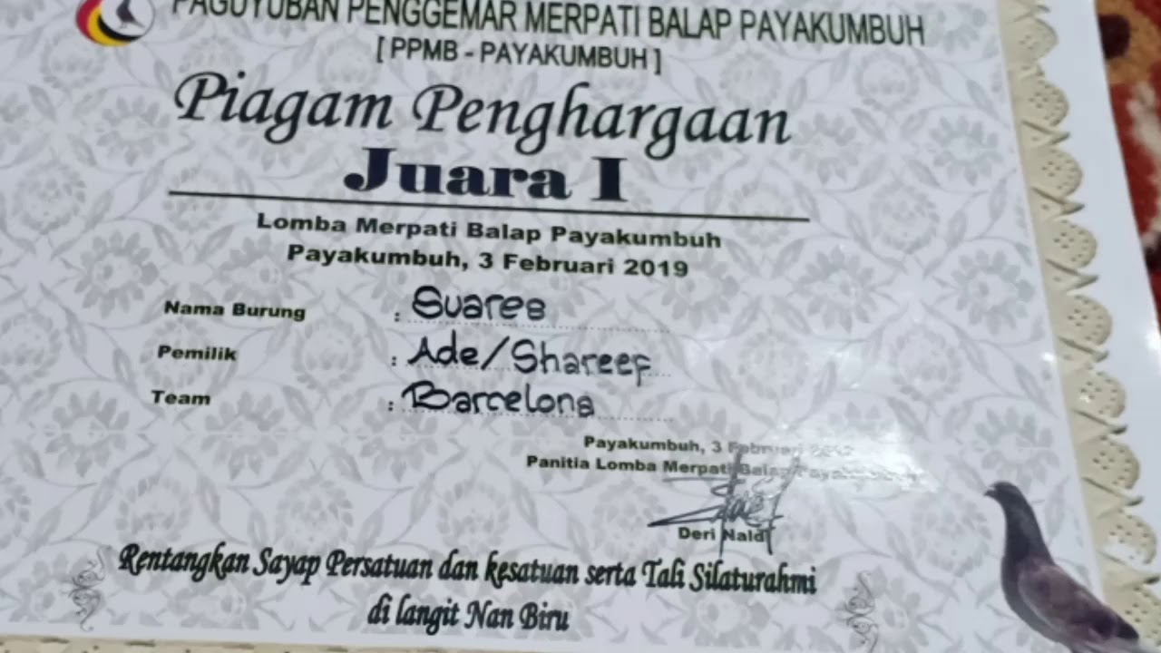 Detail Piagam Merpati Kolong Nomer 41