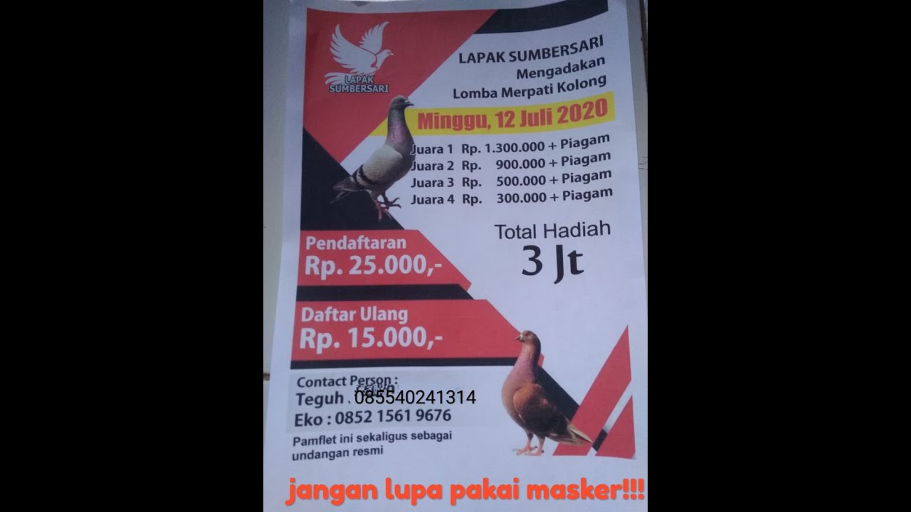 Detail Piagam Merpati Kolong Nomer 46