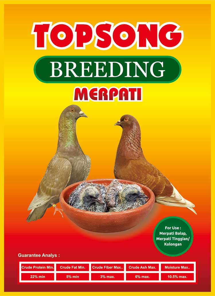 Detail Piagam Merpati Kolong Nomer 47