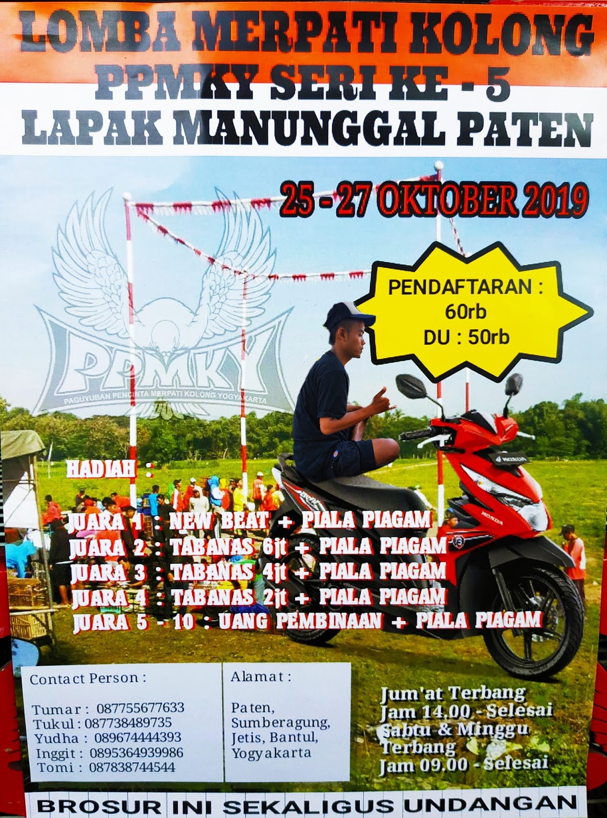 Detail Piagam Merpati Kolong Nomer 53