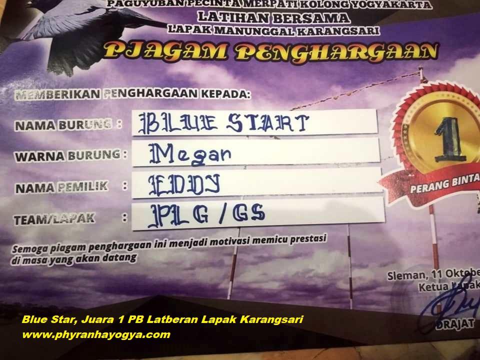Detail Piagam Merpati Kolong Nomer 8