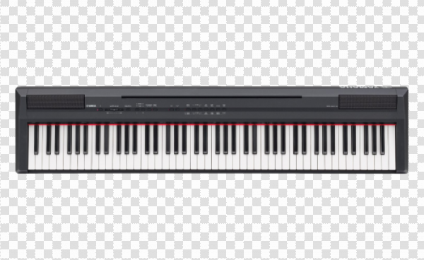 Detail Piano Keyboard Png Nomer 23