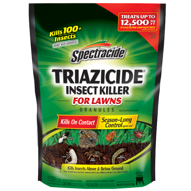 Detail Pic Insect Killer Nomer 31