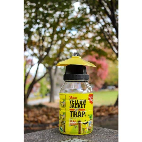 Detail Pic Insect Trap Nomer 15