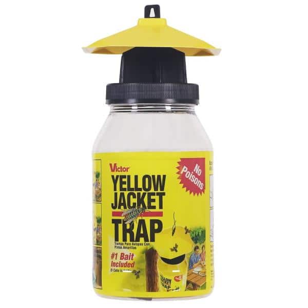 Detail Pic Insect Trap Nomer 19