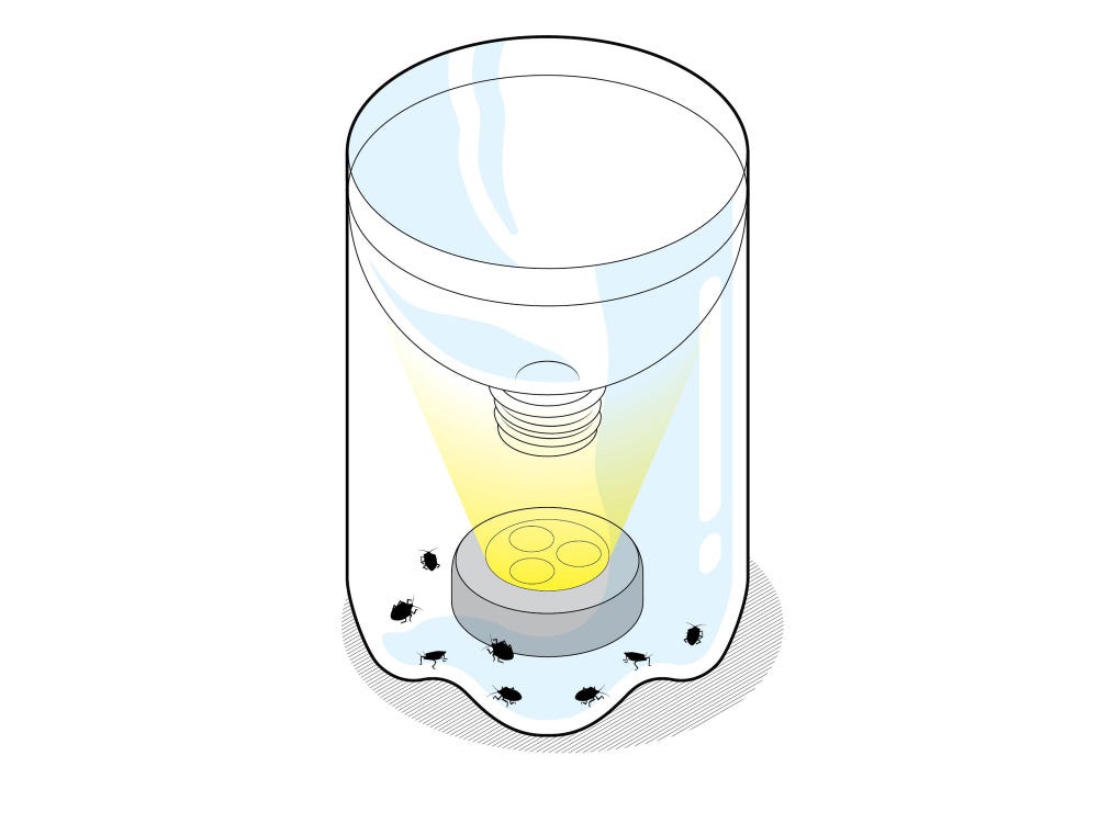 Detail Pic Insect Trap Nomer 20