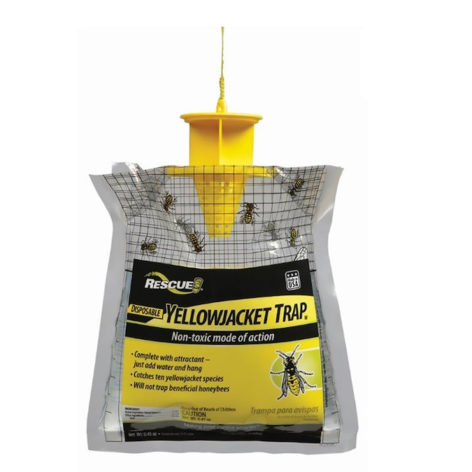 Detail Pic Insect Trap Nomer 22