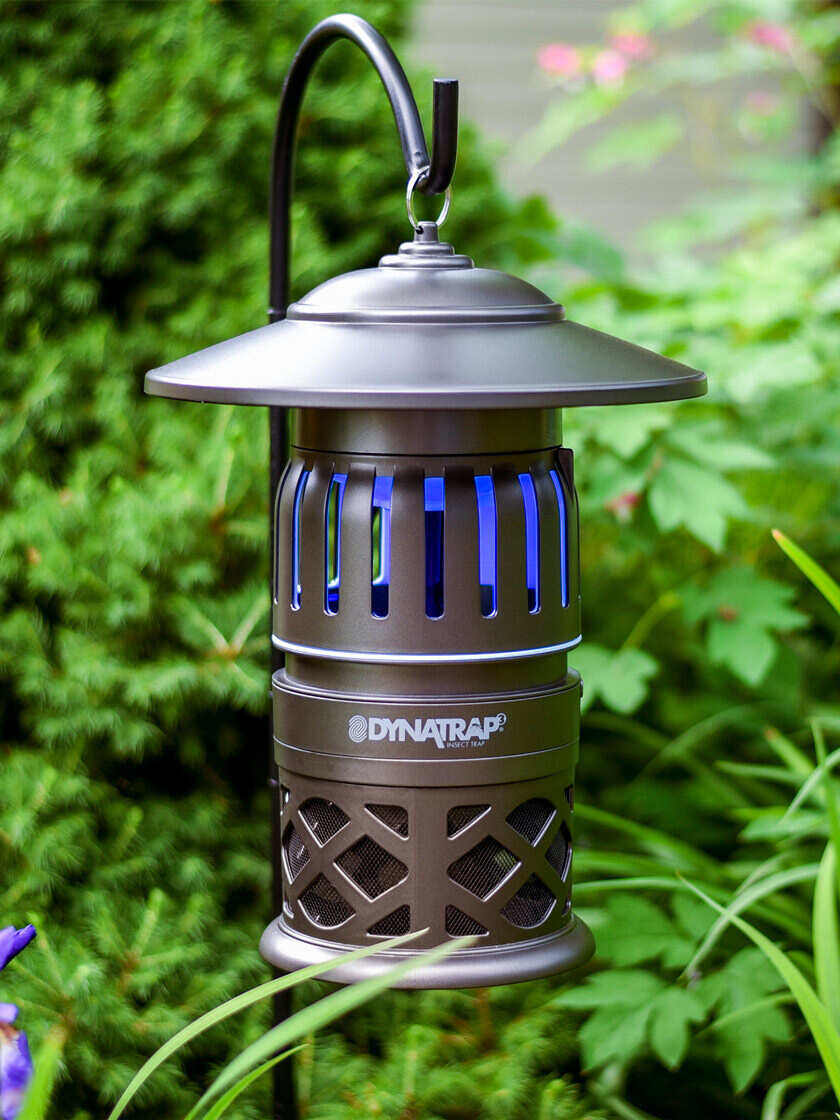Detail Pic Insect Trap Nomer 26