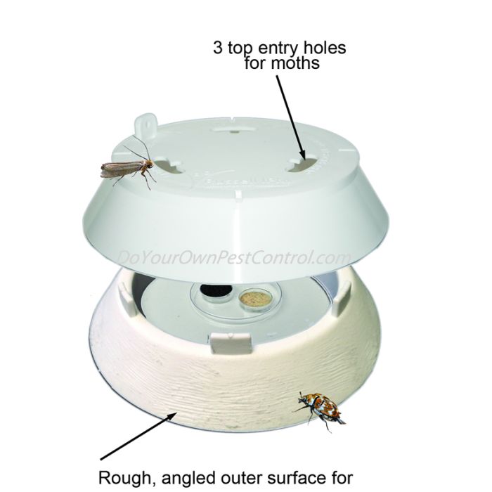 Detail Pic Insect Trap Nomer 27