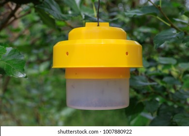 Detail Pic Insect Trap Nomer 6
