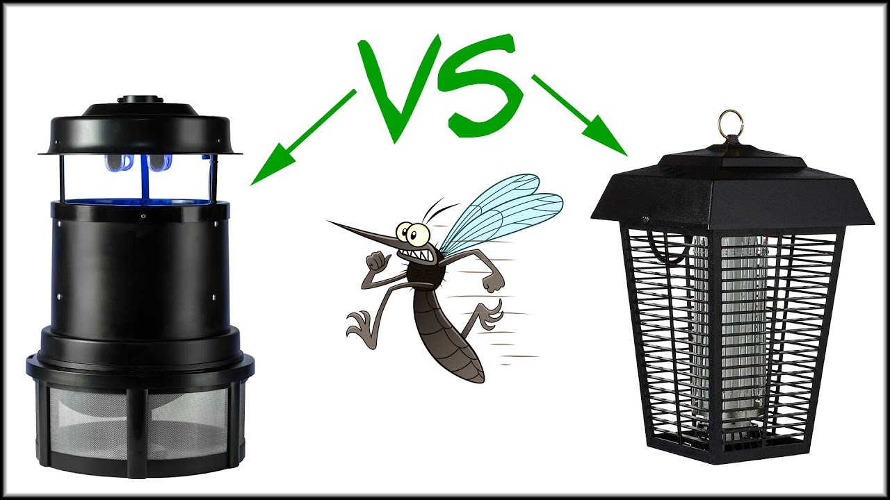 Detail Pic Insect Trap Nomer 43